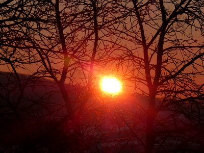 Romantic nature backlighting photo