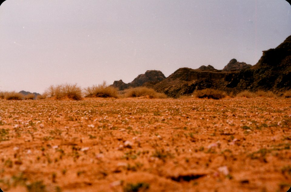 Trip to Jordan and Syria-0069
