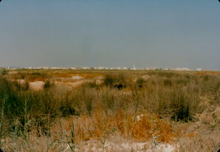 RSNF Dammam-0020