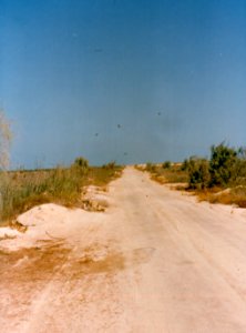RSNF Dammam-0049
