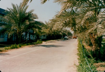 RSNF Dammam-0026