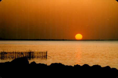 Kuwait 1982-0007