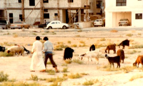 Kuwait 1982-0089