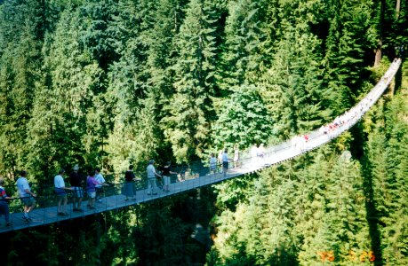 Summer - Fall 1996-0014