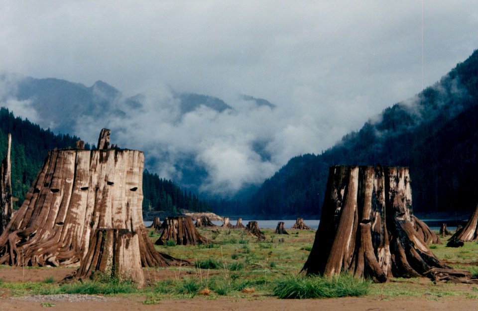 Twice at Snoqualmie Pass in 1996-0010