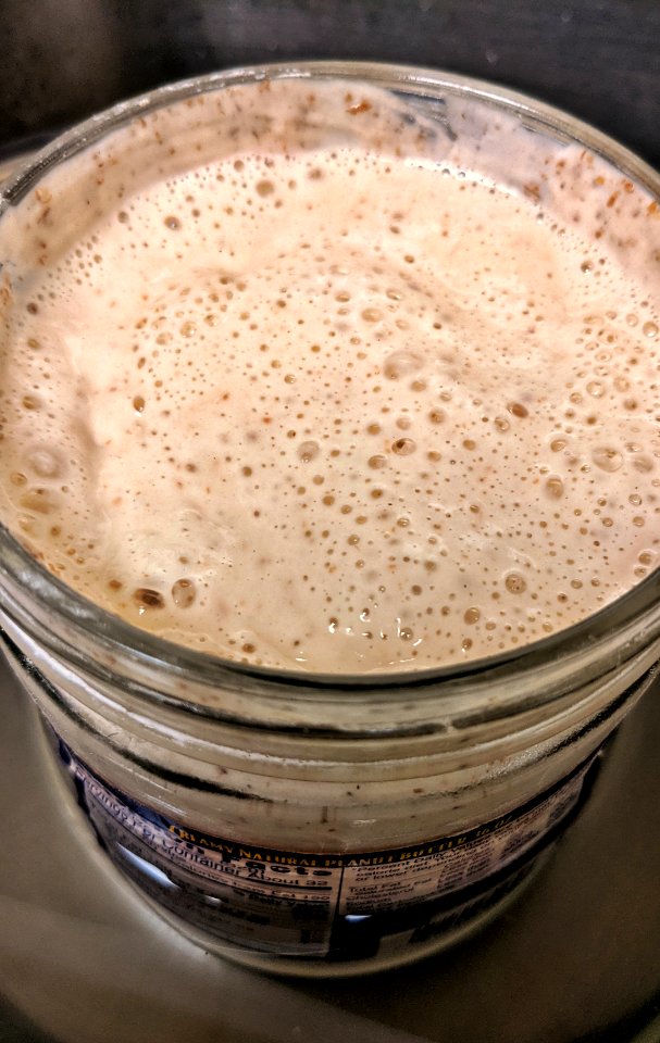 Sourdough Starter