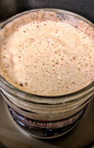 Sourdough Starter photo