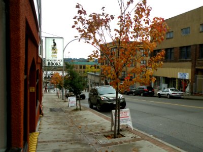 Down the Street