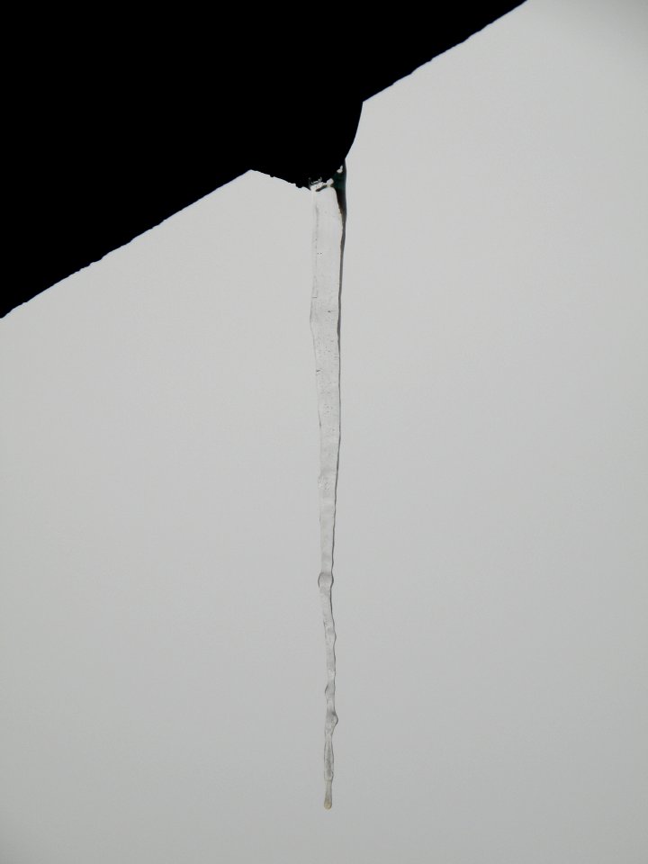 2010_11_21