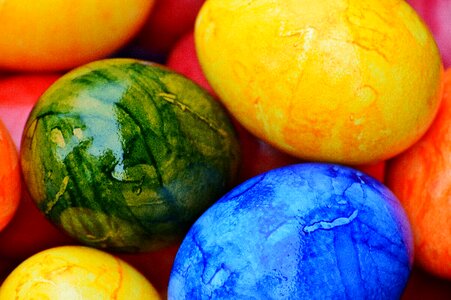 Happy easter egg colored photo