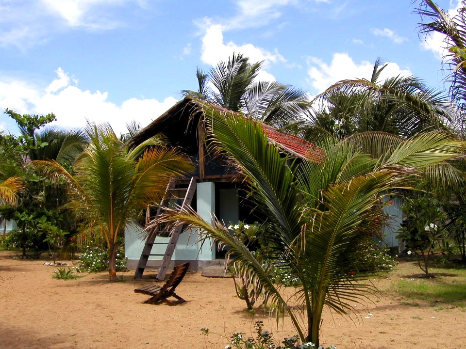 Aurgam Bay, Sri Lanka 02/15