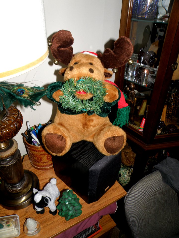2010_12_08