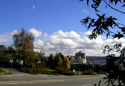 Looking Down at Downtown photo