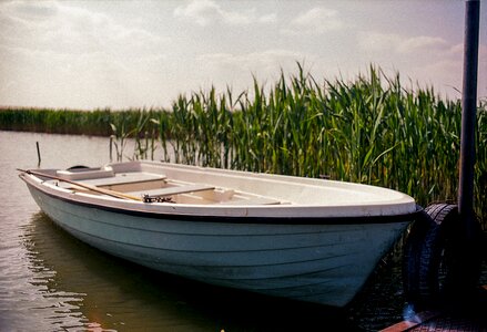 Reed water activity