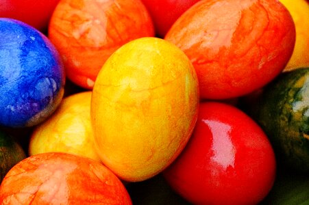 Happy easter egg colored photo