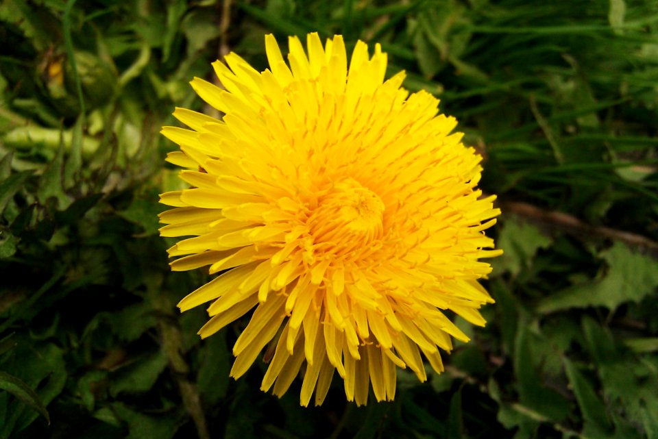 2011_03_27