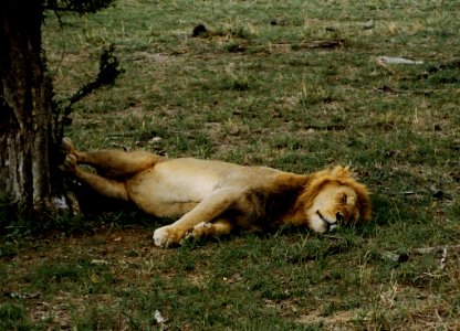 Resting in Kenya photo