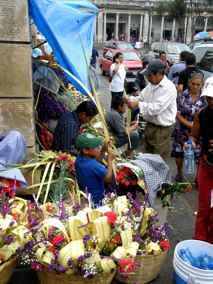 Holy Week Begins