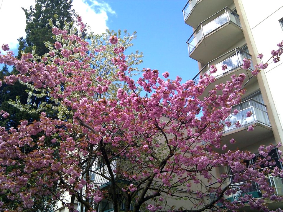 Ah, spring!