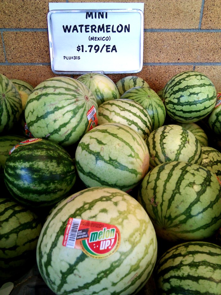2011_05_29