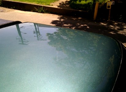 Truck Roof