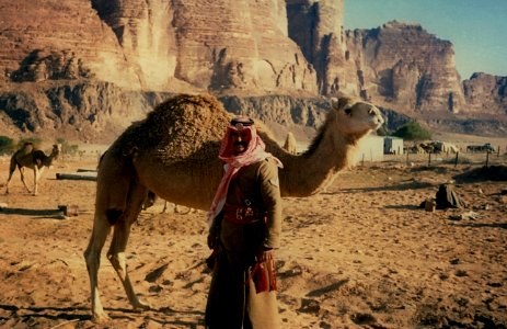 Wadi Rum Patrol