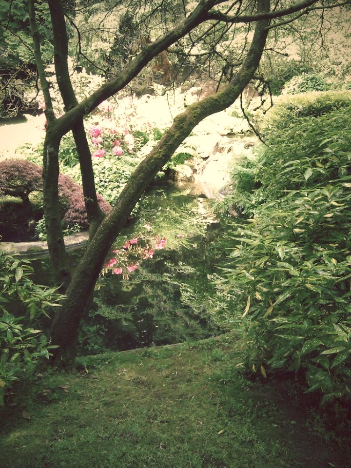My Park