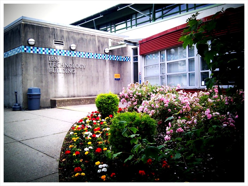 The Campus