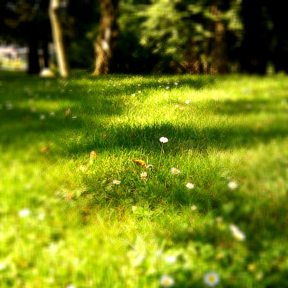 Phone Camera Tricks 2
