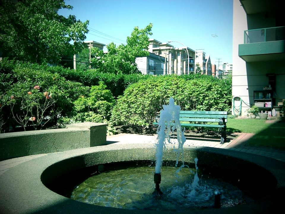 The Garden of Our Building
