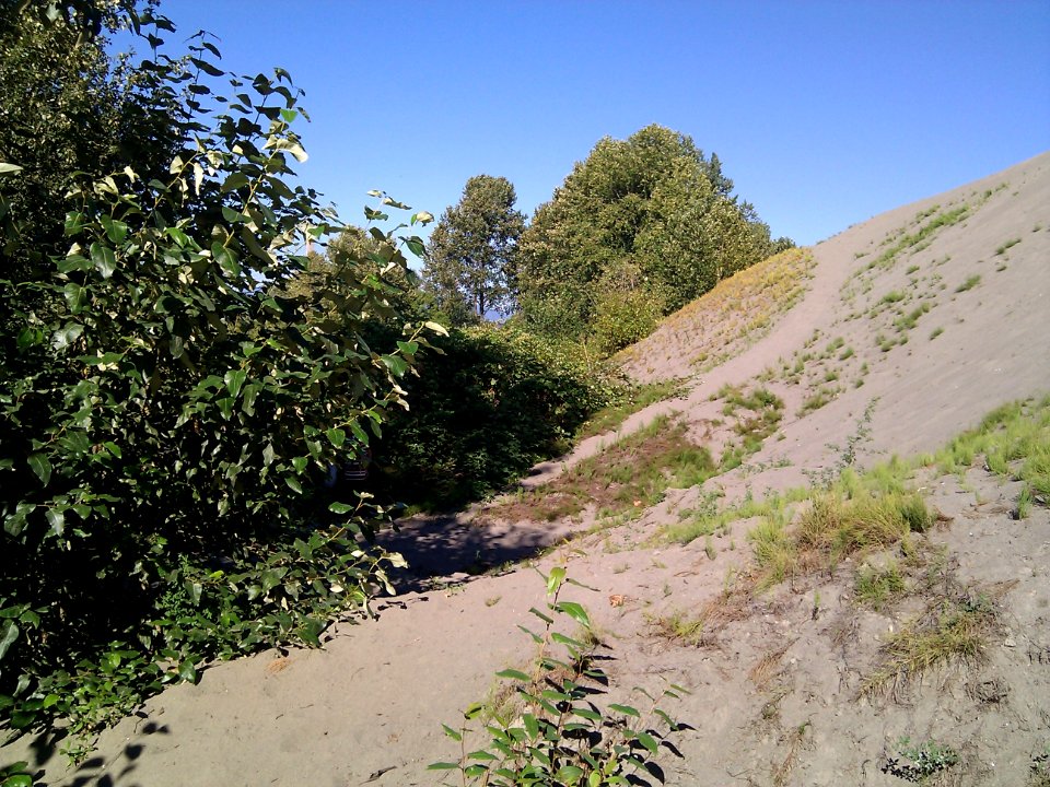 Side of the Sand Pile