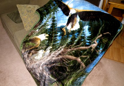 An Eagle Throw Blanket photo