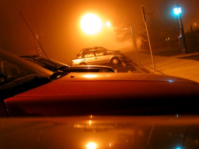 Fog Remains