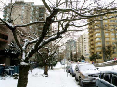 2012_01_18
