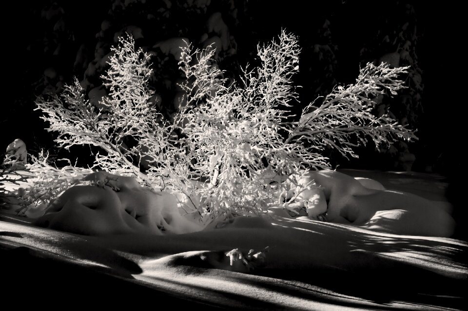 Landscape scenic black and white