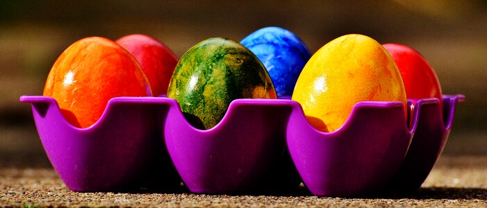 Happy easter egg colored