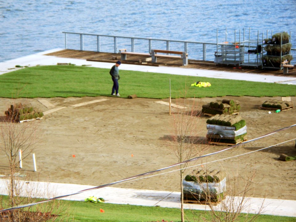 A Little Landscaping