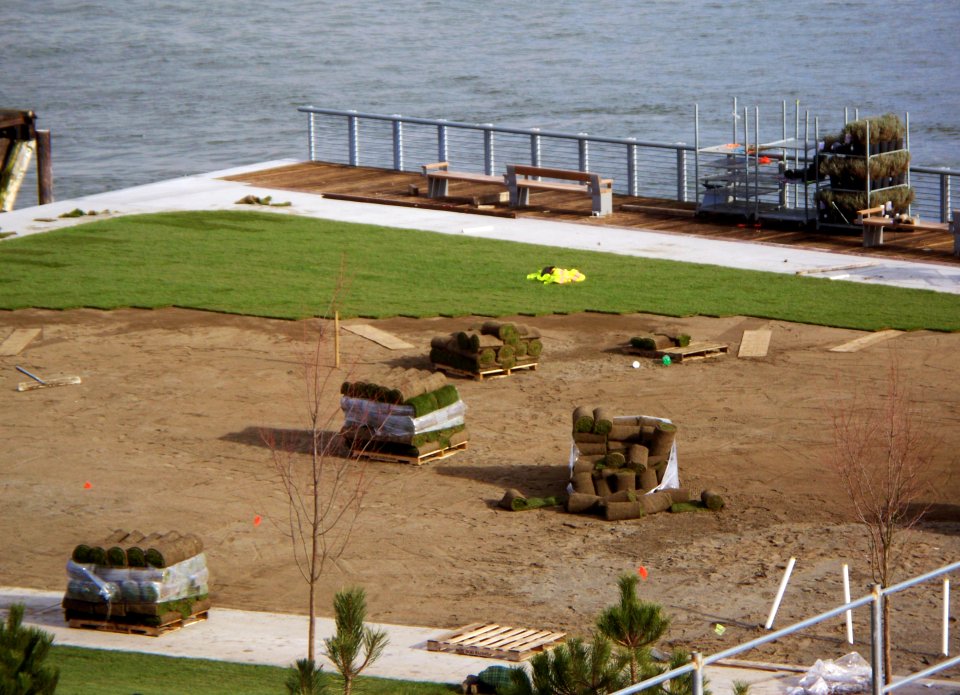 A Little Landscaping