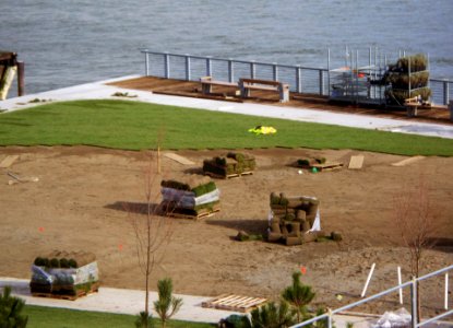 A Little Landscaping
