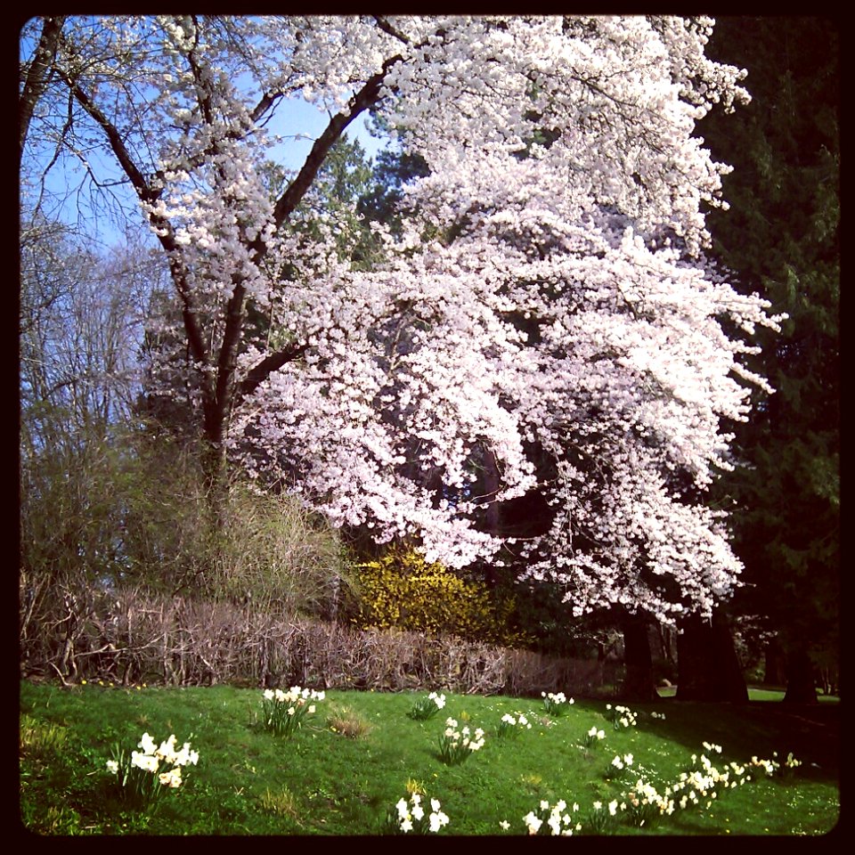 In Back of #NewWest City Hall