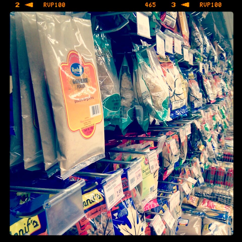 Indian Grocer, Surrey, BC