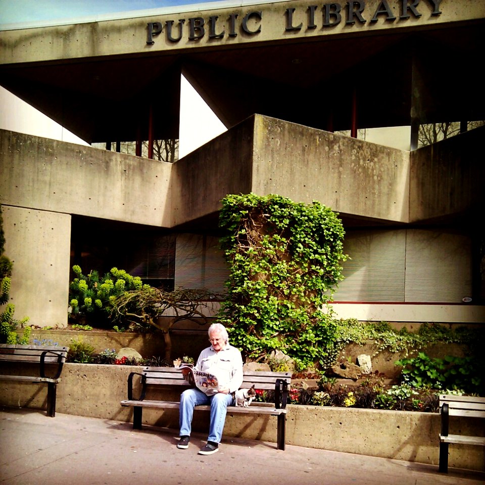 Library in the Afternoon