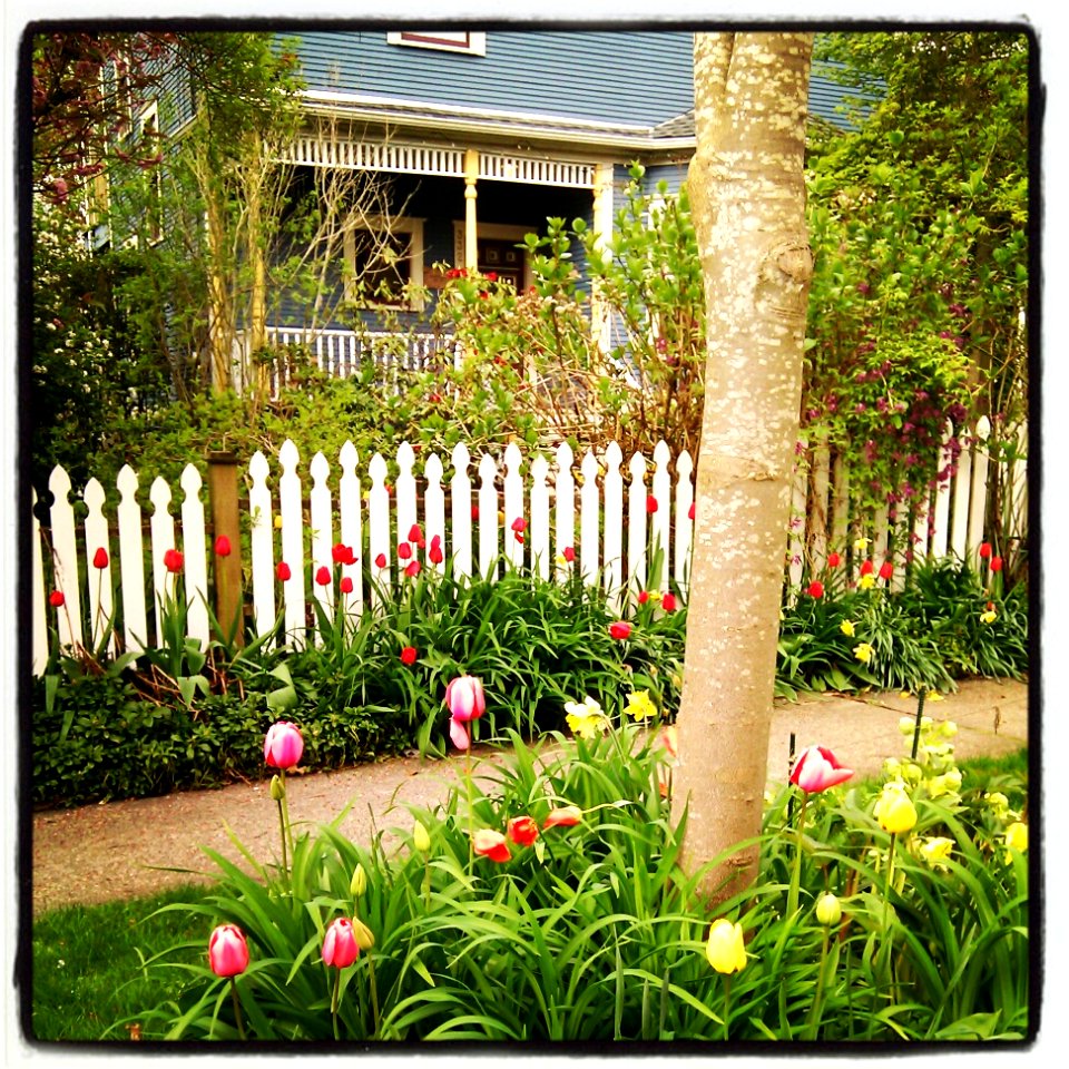 Walking Uptown - Picket Fences
