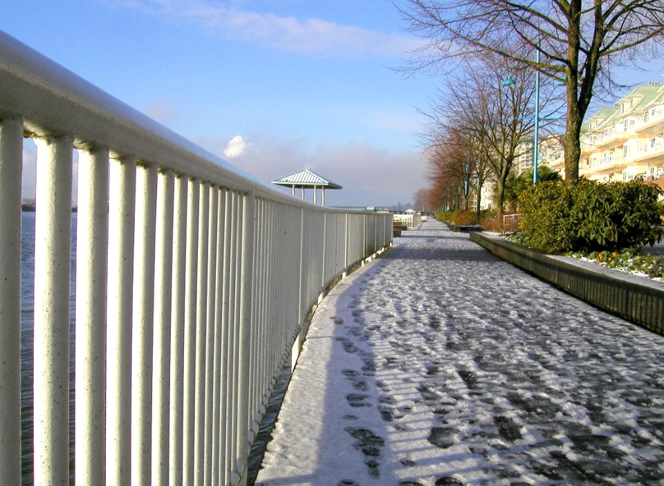 Snow at the Quay 03/07