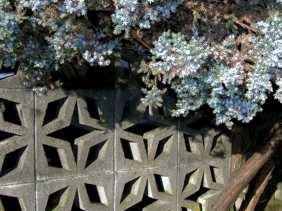 Neighbouring Wall