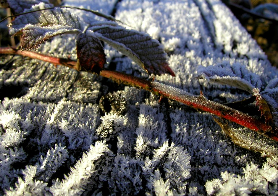 Frosty Quay 02/04