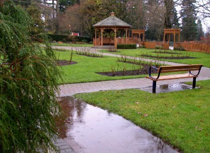 Queen's Park in the Rain (03/06) photo