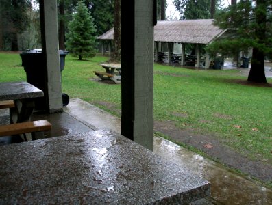 Queen's Park in the Rain (01/06) photo