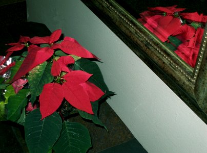 2005_12_25 photo