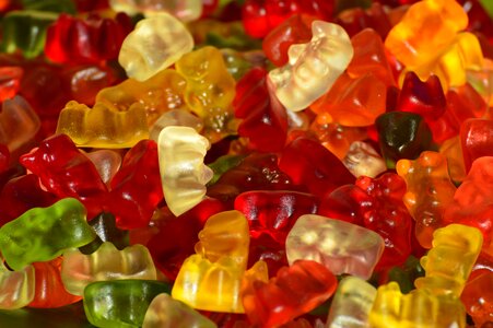 Bear delicious color